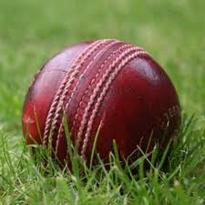 Manufacturers Exporters and Wholesale Suppliers of Leather Cricket Balls Meerut Uttar Pradesh